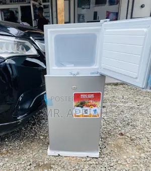 Latest and Affordable Zara 135 KG 2 Door Fridge.