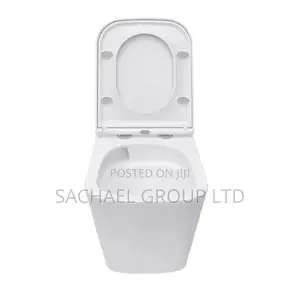 Modern Wc for Classic Home