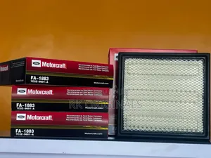 Ford F-150 09-23 Motorcraft Air Filter From Usa