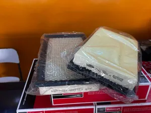 Ford Explorer/ Edge 2011-2019 Motorcraft Air Filter From Usa