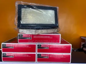 Ford Explorer/ Edge 2011-2019 Motorcraft Air Filter From Usa