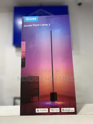 Govee Floor Lamp 2 RGBIC LED Floor Lamp Works With Alexa