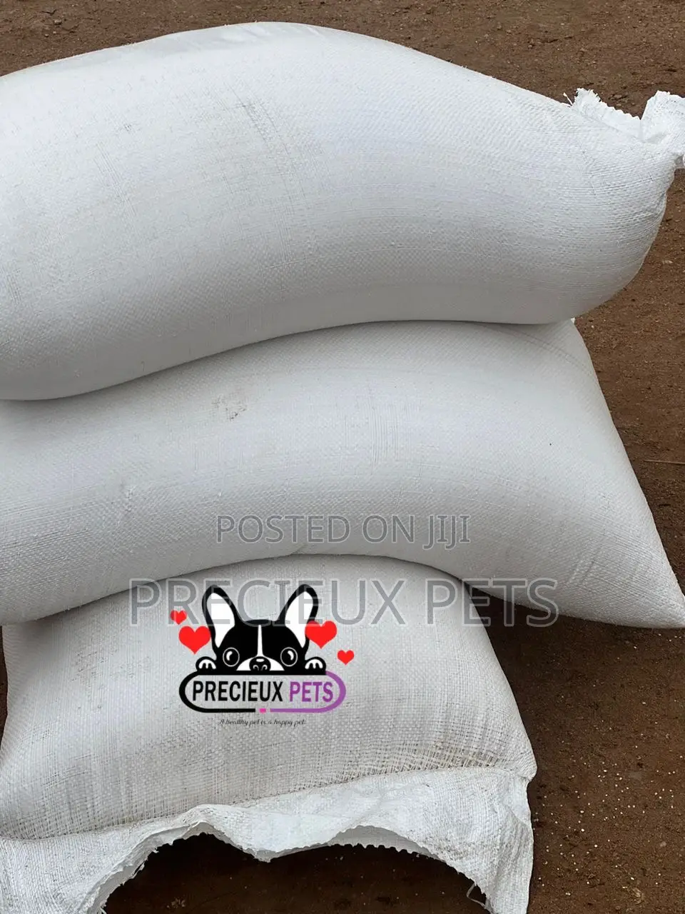 Cats and Dogs Rice at Precieux-Pets