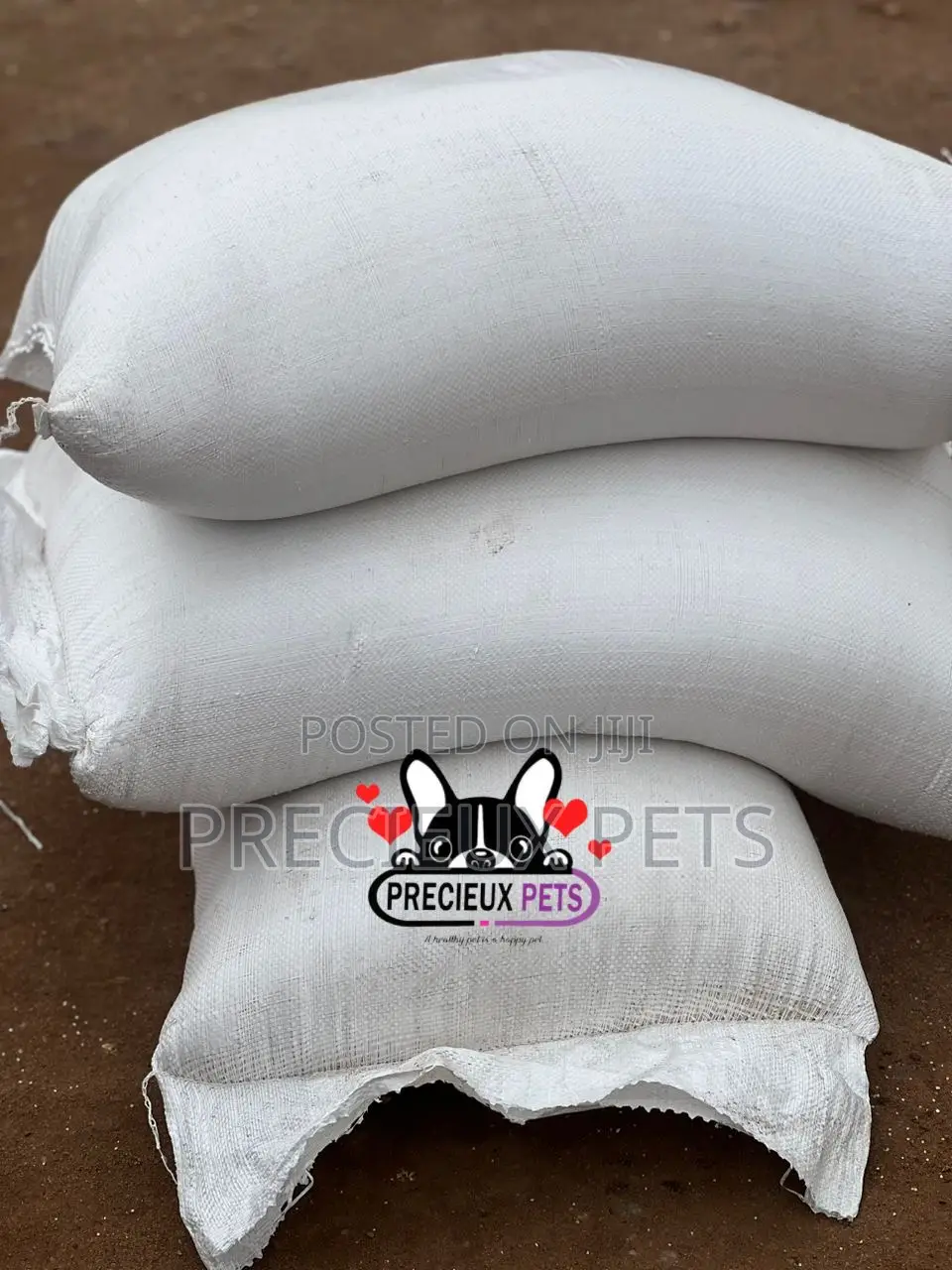 Cats and Dogs Rice at Precieux-Pets