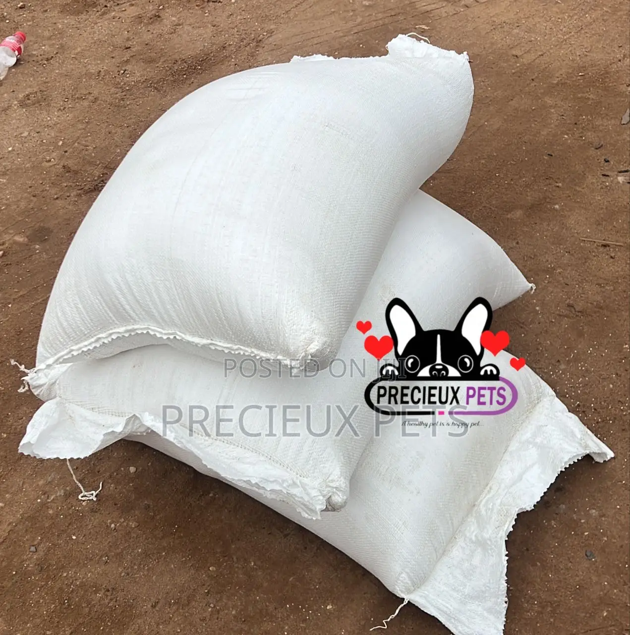 Cats and Dogs Rice at Precieux-Pets