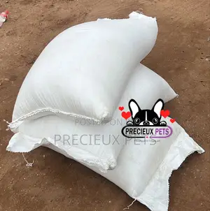 Cats and Dogs Rice at Precieux-Pets