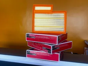 Ford Transit 2015-2023 Motorcraft Air Filter From Usa