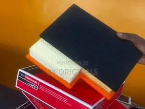 Ford Transit 2015-2023 Motorcraft Air Filter From Usa