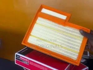Ford Transit 2015-2023 Motorcraft Air Filter From Usa