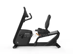 Recumbent Bike (Commercial )