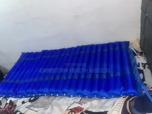 Air Bed Ripple Mattress Anti Bedsores With Pump