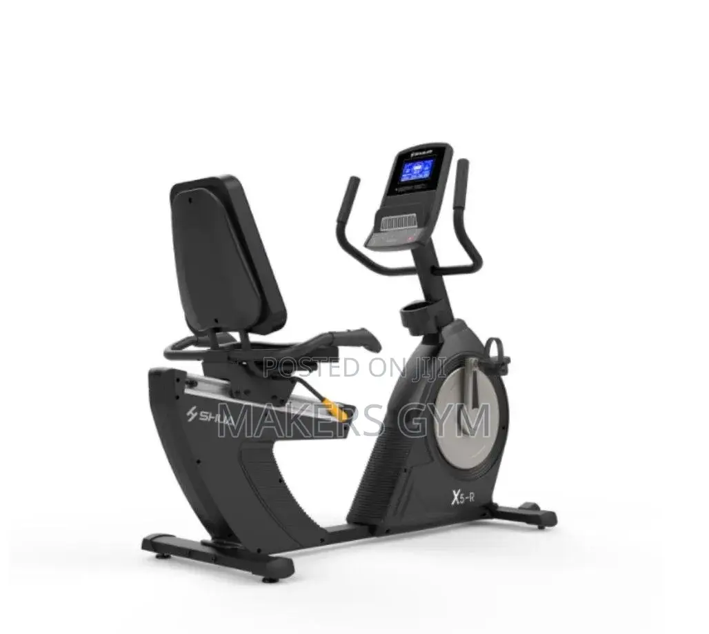 Recumbent Bike( Walk-Through) Commercial