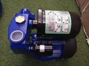 Jet Water Pump Chimp 1.0hp Water Pump 220vqmax45 New