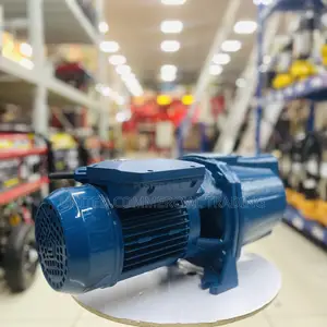 Water Pump (Lucky Pro 1HP)