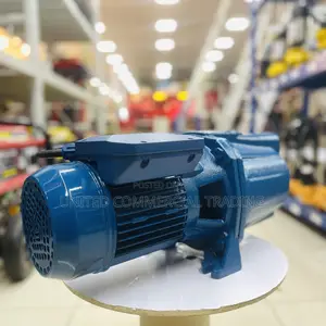 Water Pump (Lucky Pro 1HP)