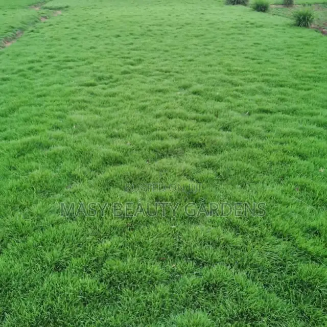 Masy Gardens N Landscaping
