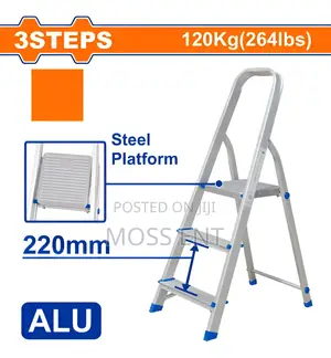 Household Ladder - Wld3h03