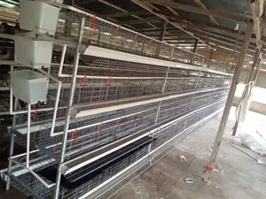 Layer Cages
