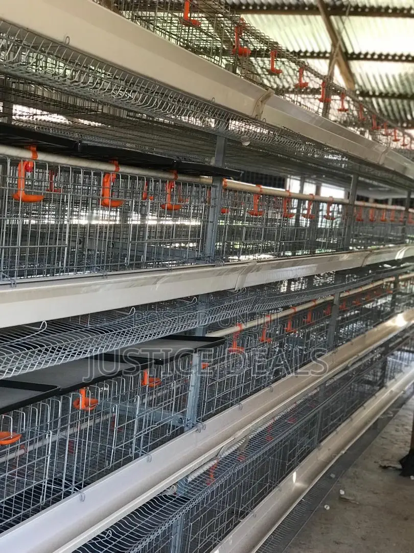 Layer Cages