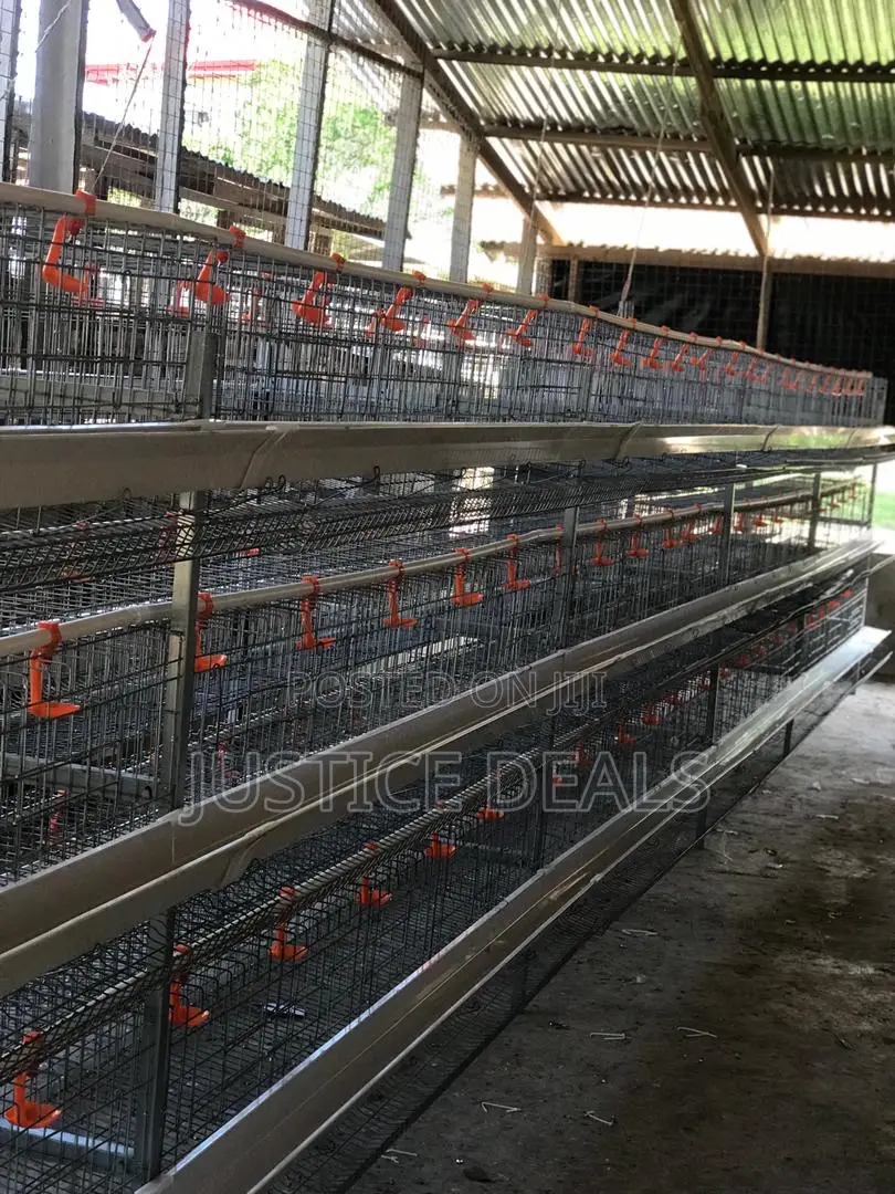 Layer Cages