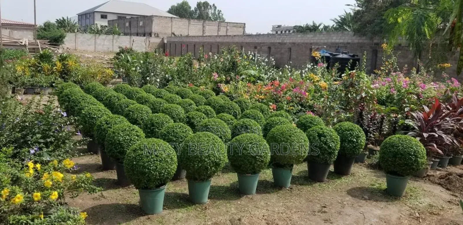 Masy Gardens N Landscaping