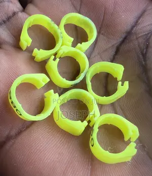 Ring for Birds