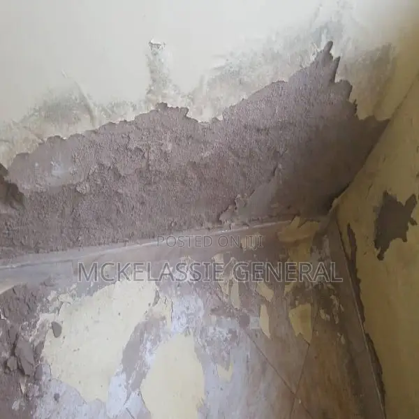 Best Damp-Proof Chemical.Works Effectively.Call for Details.