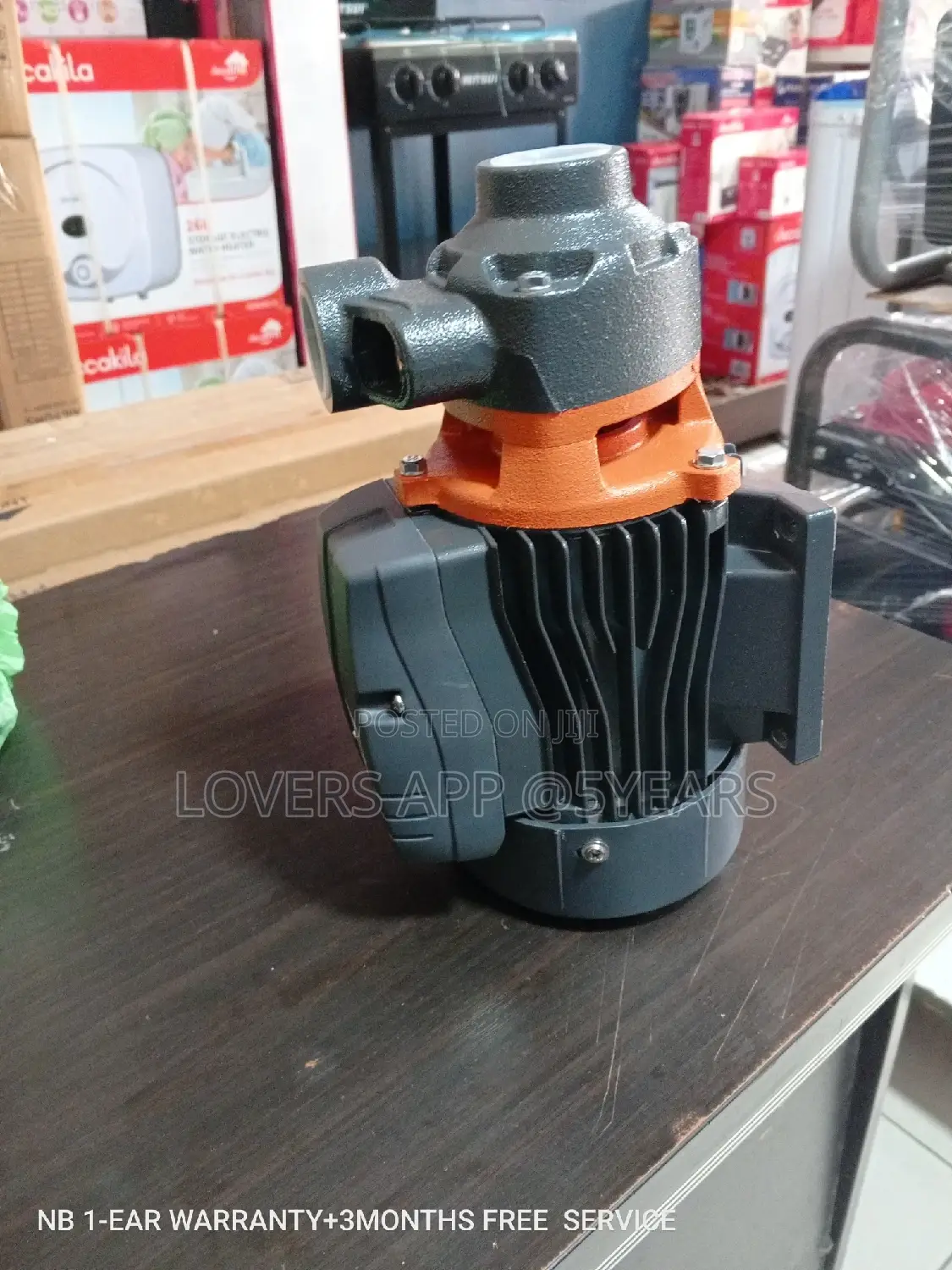 Leo Water Pump Water Pump 0.5HP Affordable