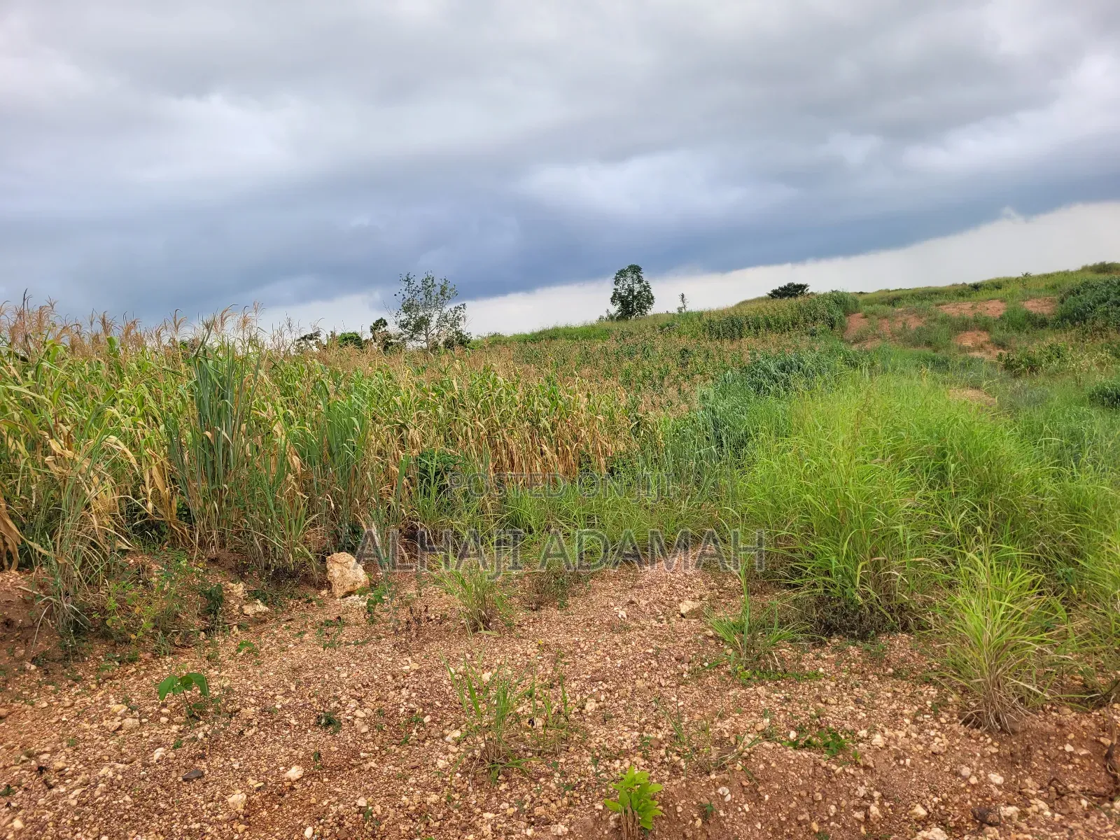 Plot of Land at Apemanim Kokoben