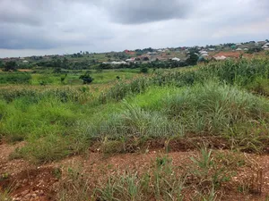 Plot of Land at Apemanim Kokoben