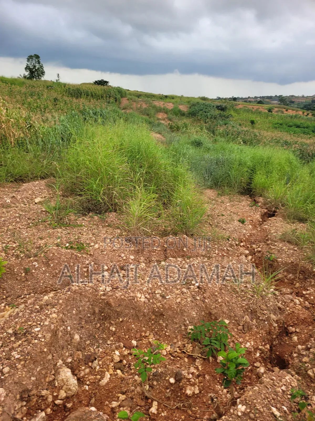 Plot of Land at Apemanim Kokoben