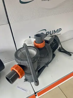 Pool Big Pump
