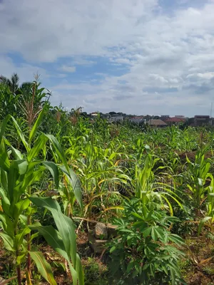 Two Plots of Land for Sale at Ahodwo Nhyiaeso Main Road