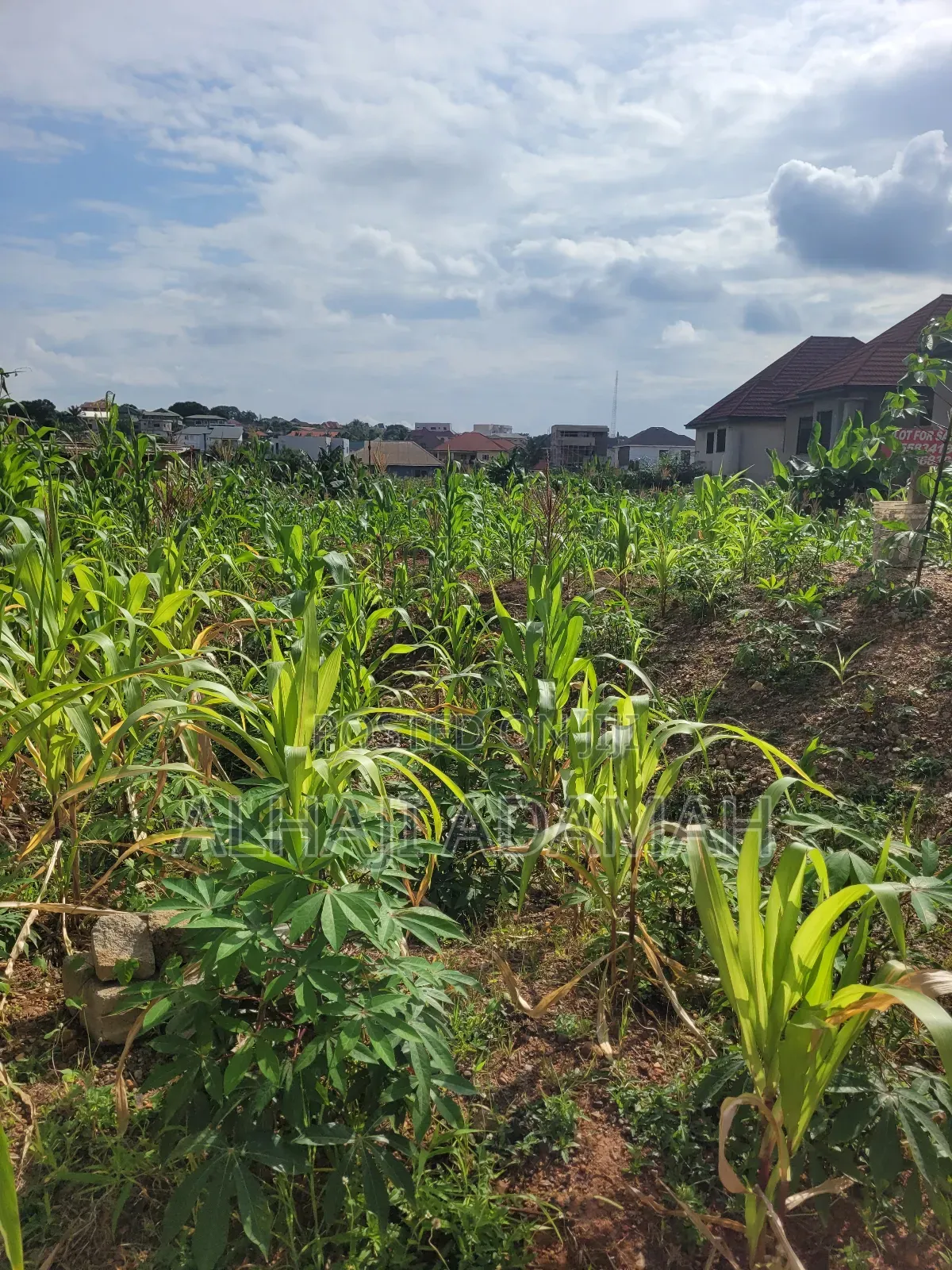 Two Plots of Land for Sale at Ahodwo Nhyiaeso Main Road