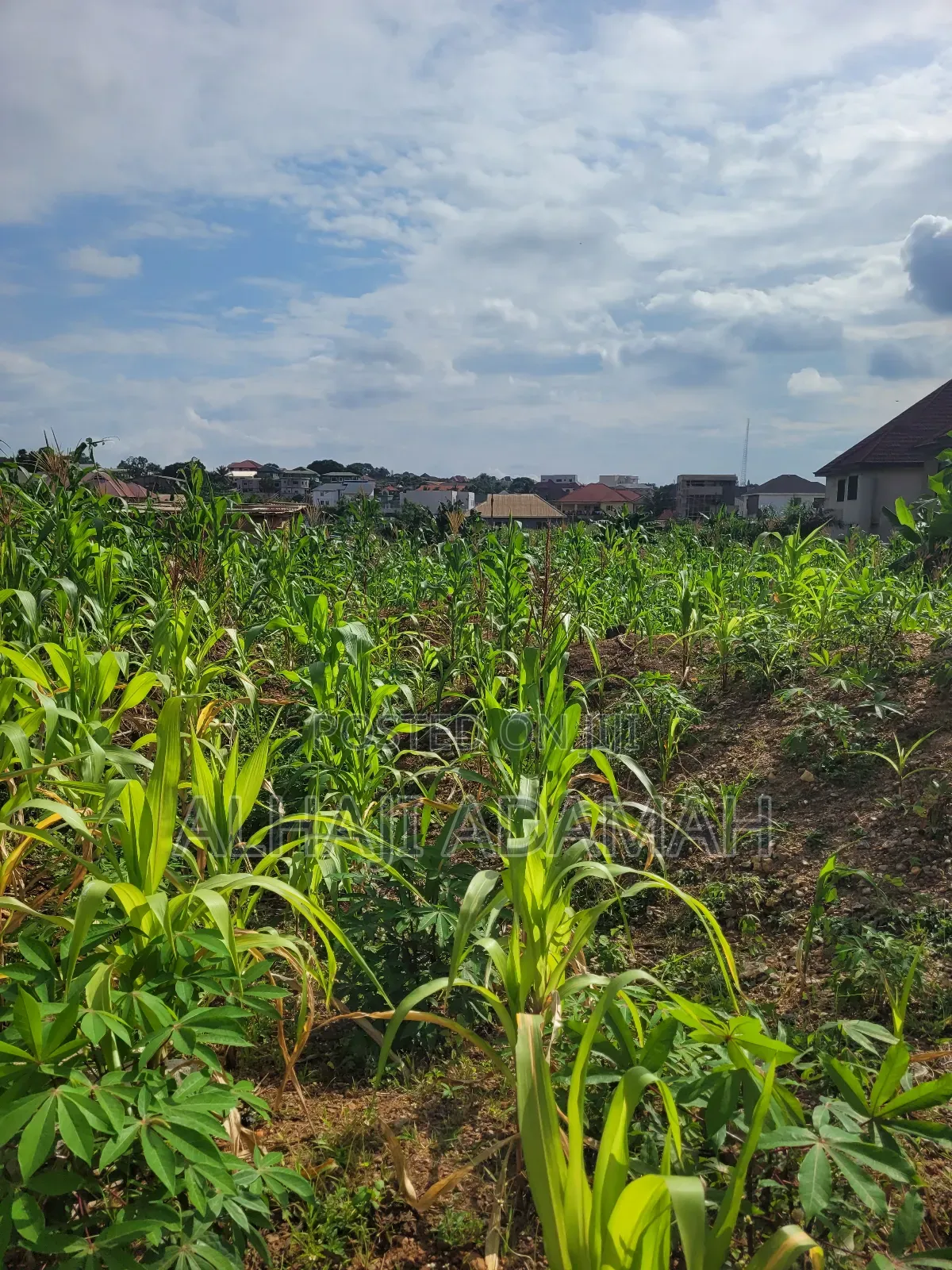 Two Plots of Land for Sale at Ahodwo Nhyiaeso Main Road