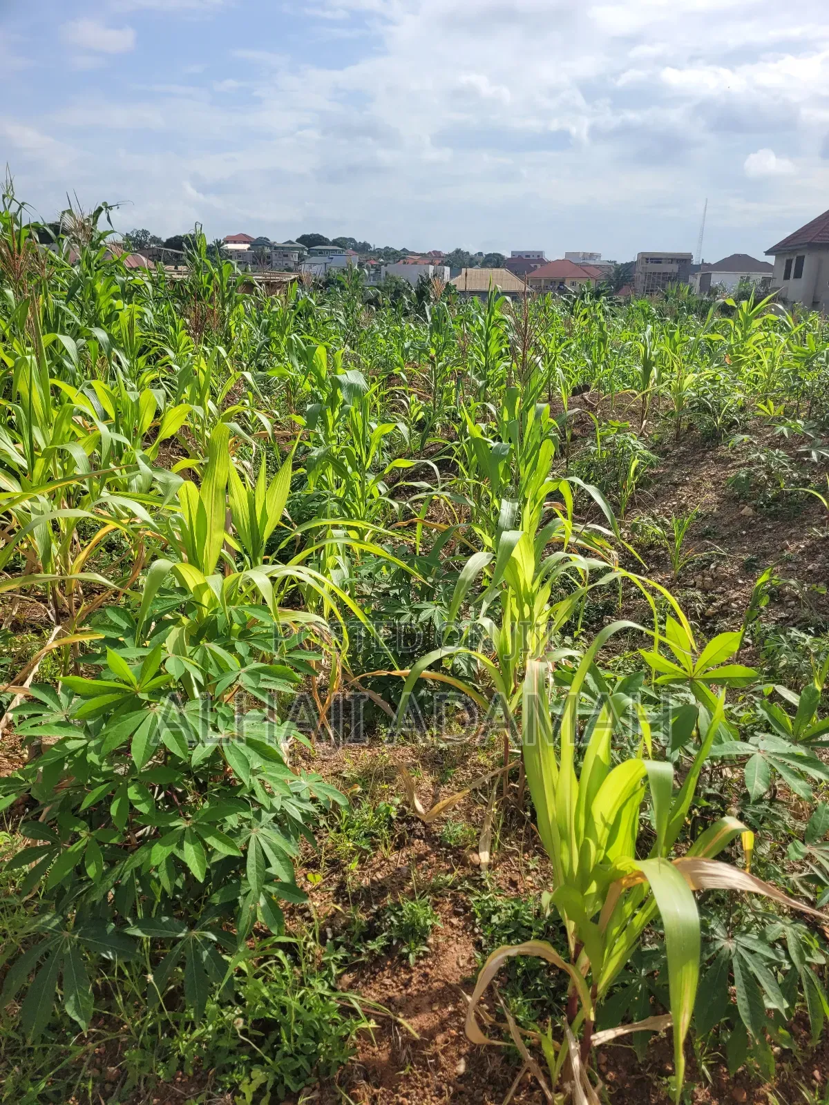 Two Plots of Land for Sale at Ahodwo Nhyiaeso Main Road