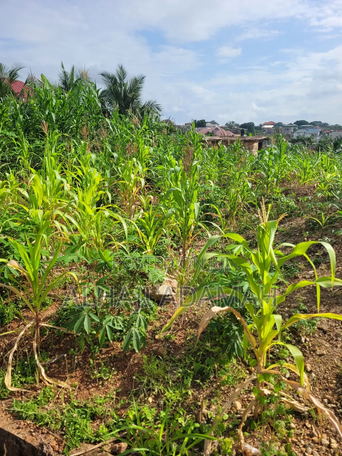 Two Plots of Land for Sale at Ahodwo Nhyiaeso Main Road