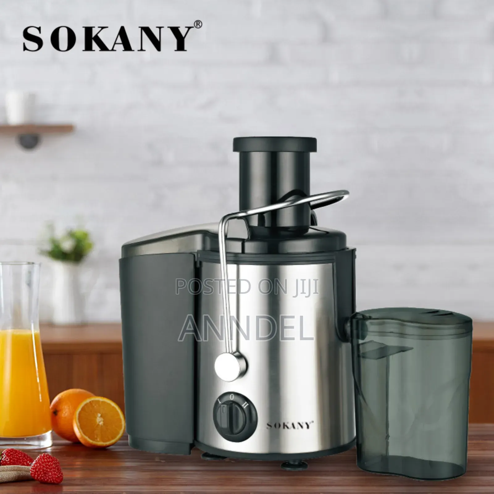 Sokany Juicer