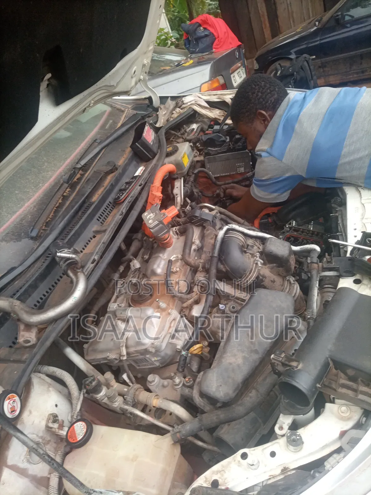 Car Auto Electrical Specialist