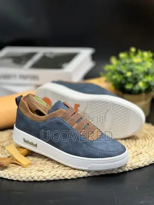 Timberland Navy and Brown Sneaker