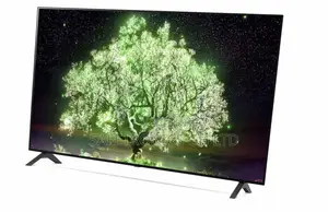  Lastest New OLED BXPVA 55 Inch Smart LG Tv 