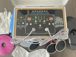 Quantum/Meridian Massager
