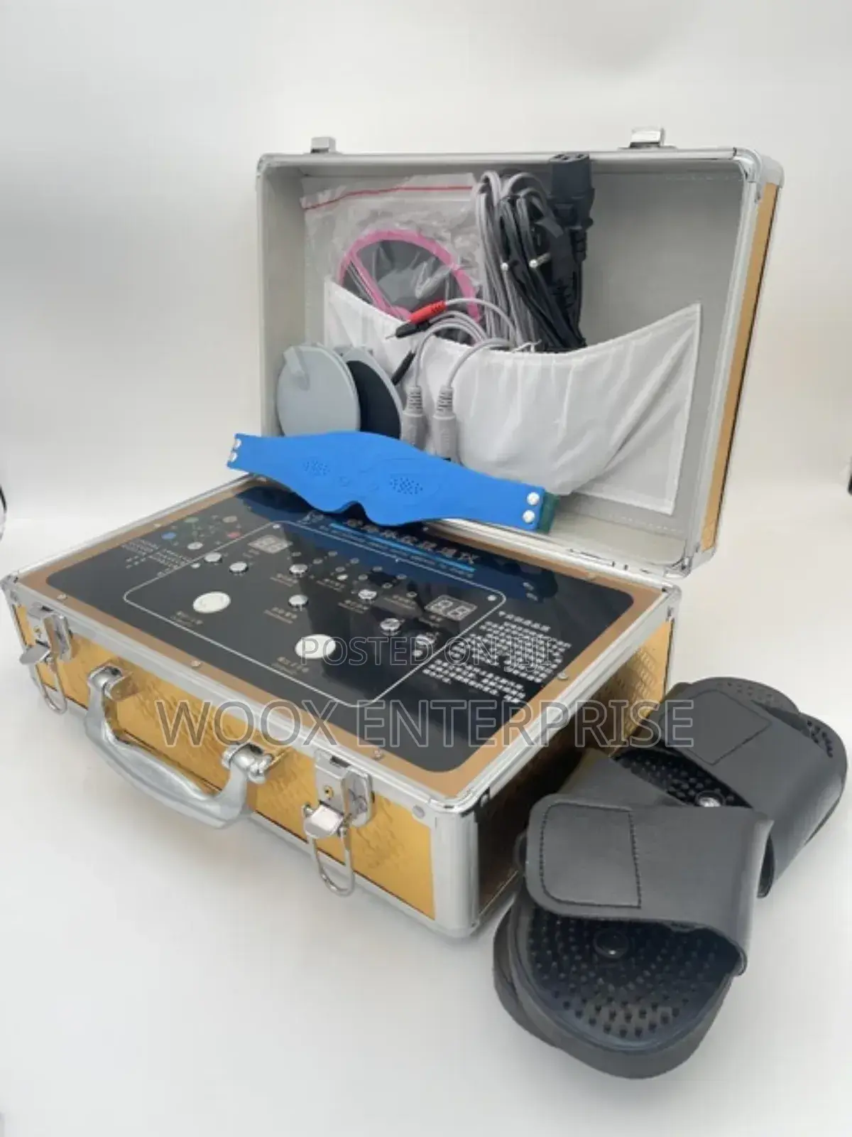 Quantum/Meridian Massager