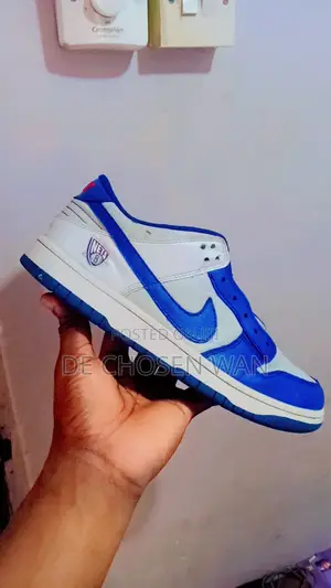 Nike Dunk Low EMB NBA 75th Anniversary Brooklyn Nets