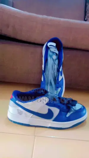 Nike Dunk Low EMB NBA 75th Anniversary Brooklyn Nets