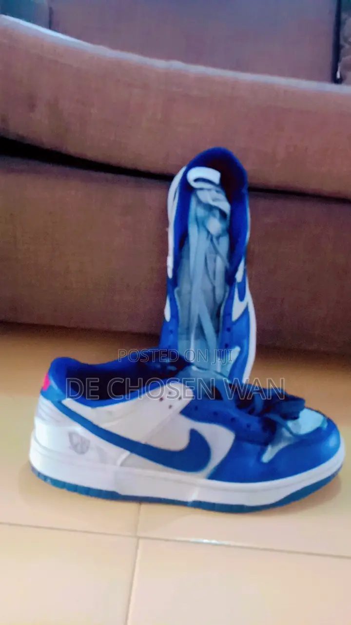 Nike Dunk Low EMB NBA 75th Anniversary Brooklyn Nets