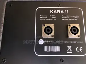 Kara-2 10inch Dual Line Array Speaker(Pair)