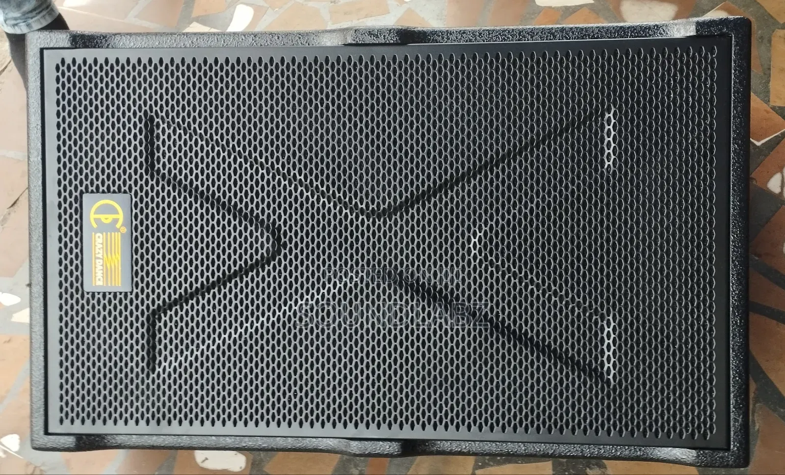 Crazy Dance 12inches Stage Monitors