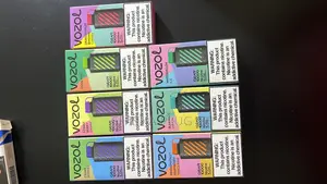 VOZOL 10000 Puff Vape