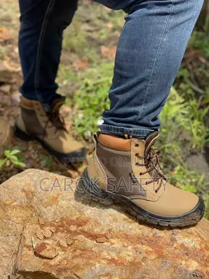Armor 360 Cedarok